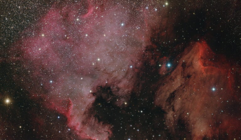 NGC 7000