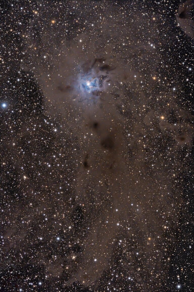 NGC 7023