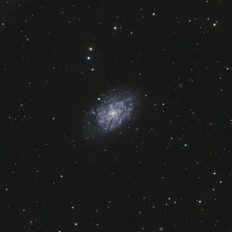 NGC 7793