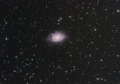 Mehr über den Artikel erfahren NGC 7793