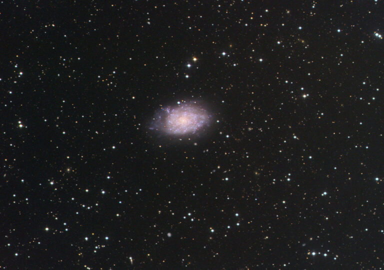 NGC 7793