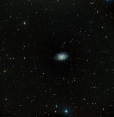 Mehr über den Artikel erfahren NGC 7793