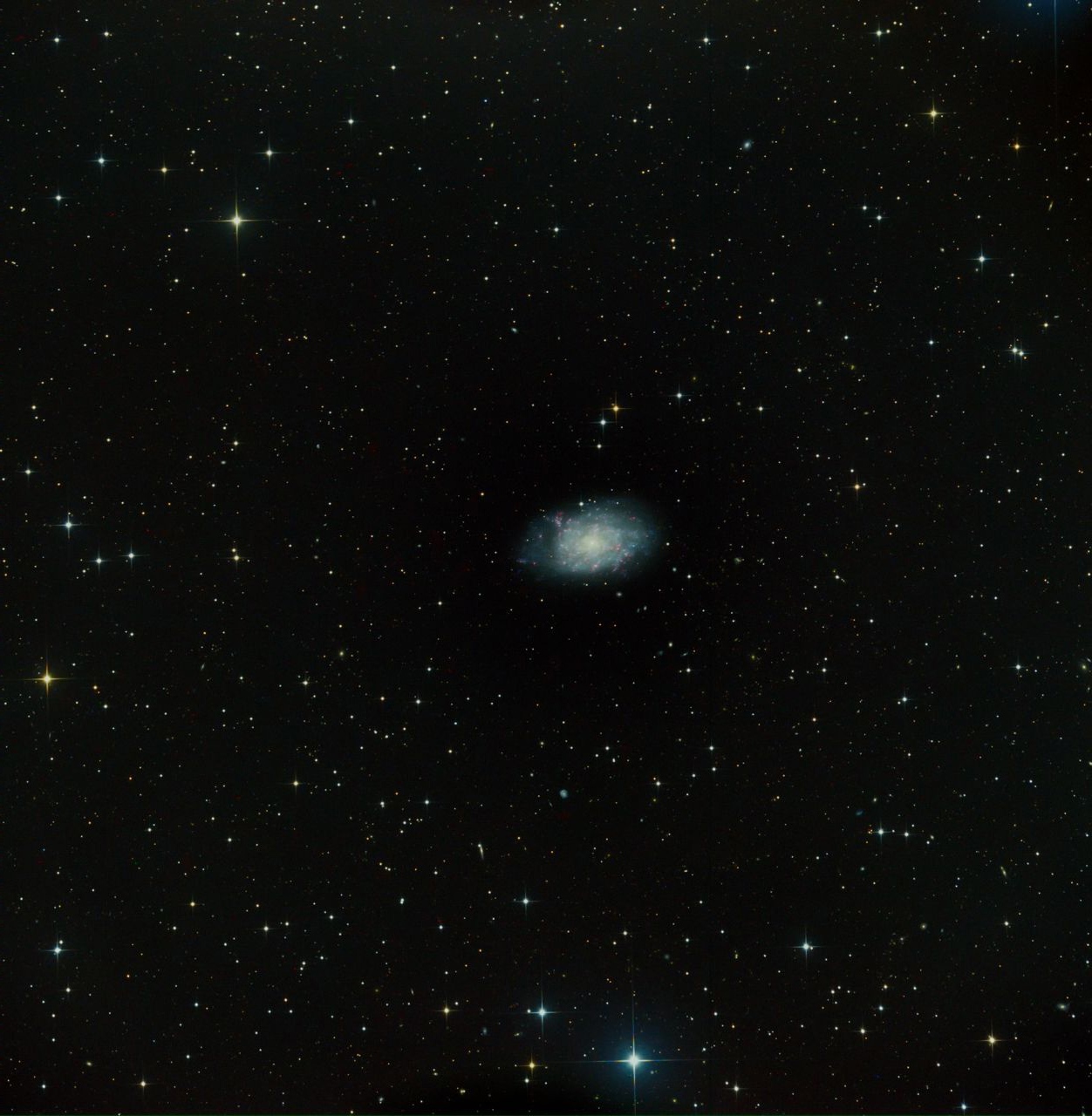 NGC 7793