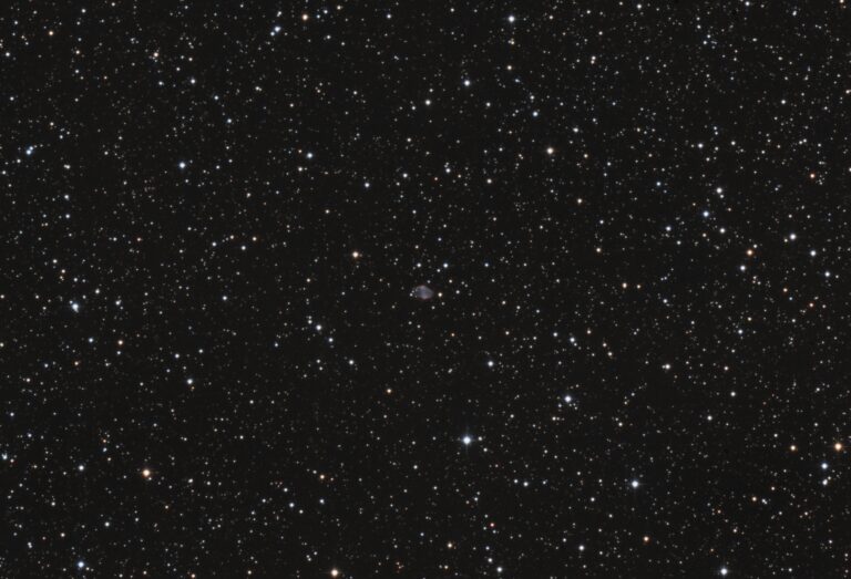 PN M 1-79