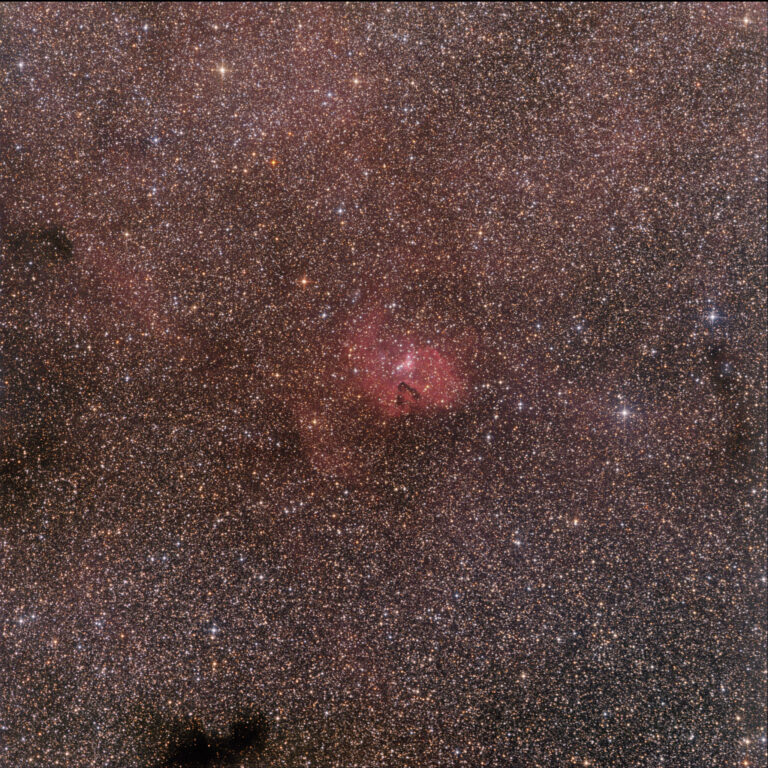 RCW 55
