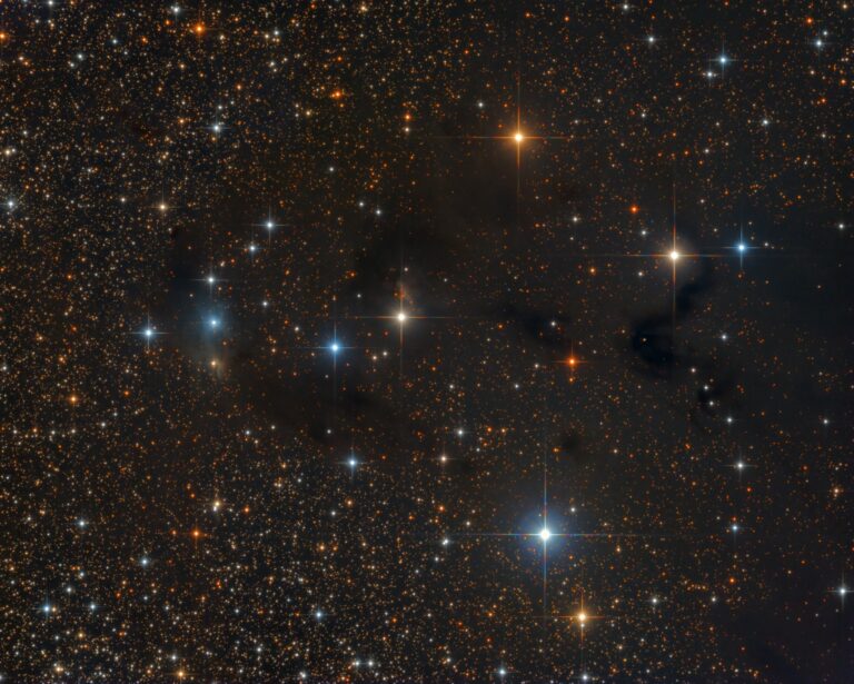 RNO 134