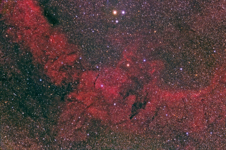 SANDQVIST 17