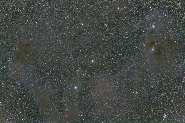 SANDQVIST 135