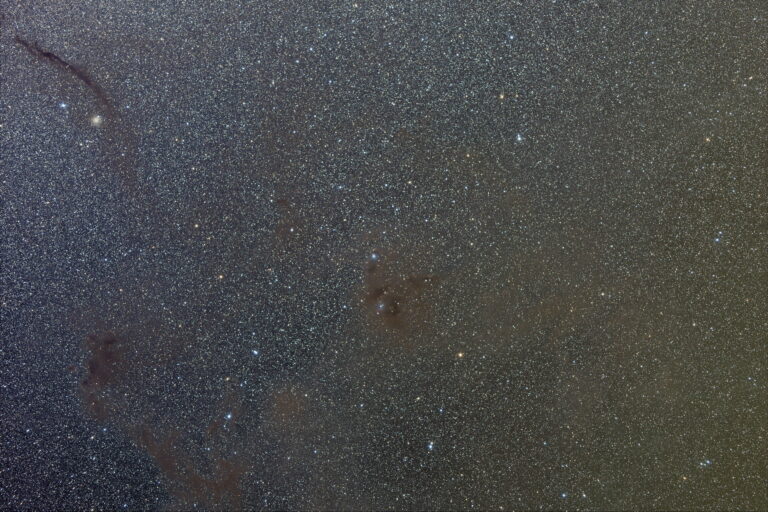 SANDQVIST 135