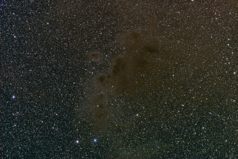 SANDQVIST 153