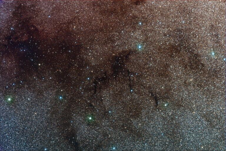SANDQVIST 169