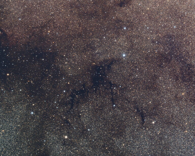 SANDQVIST 169