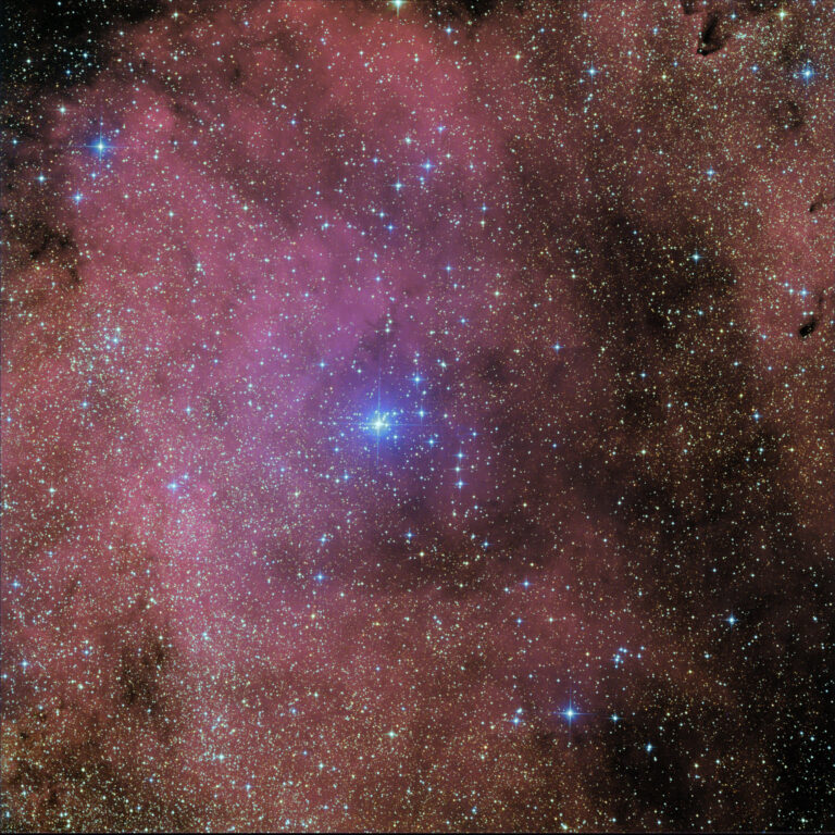 SH2- 12