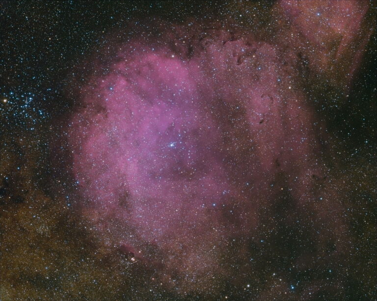 SH2- 12