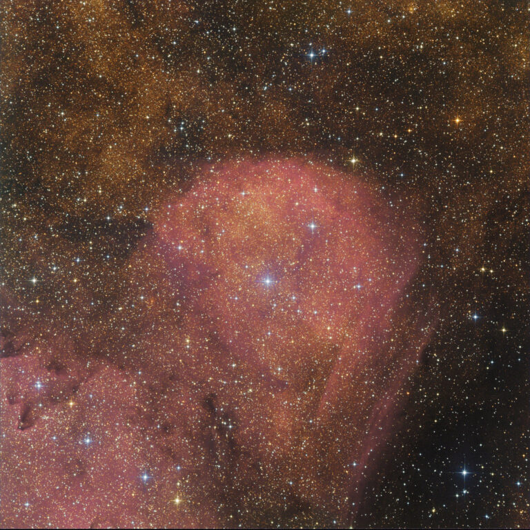 SH2- 13