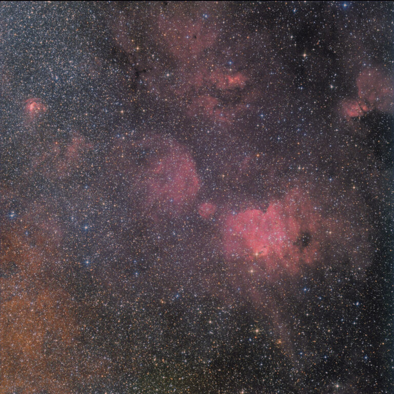 SH2- 16