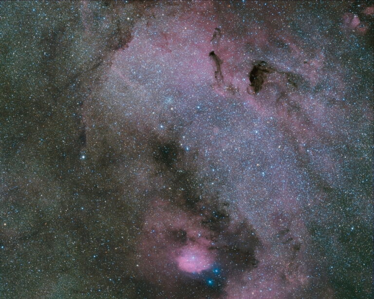 SH2- 41