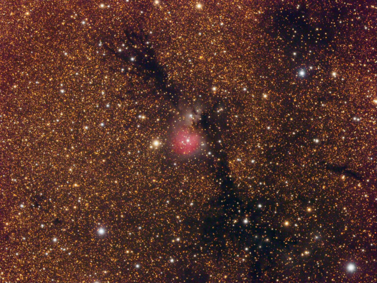 SH2- 82