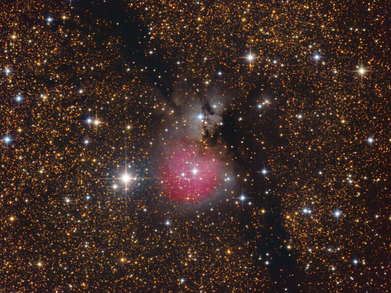 SH2- 82