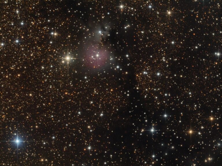 SH2- 82