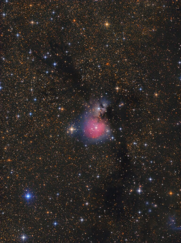 SH2- 82
