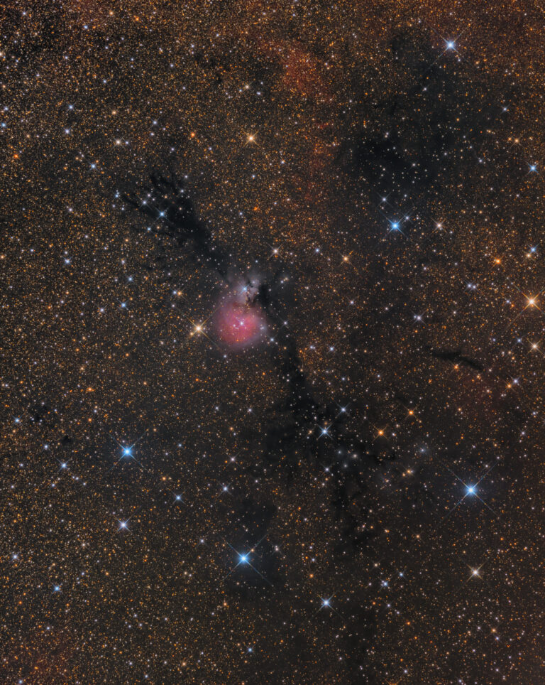 SH2- 82