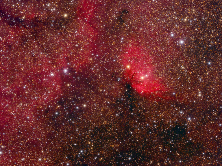 SH2- 101