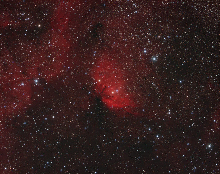 SH2- 101