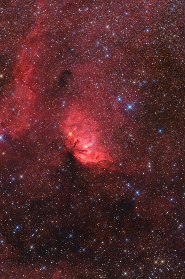 SH2- 101