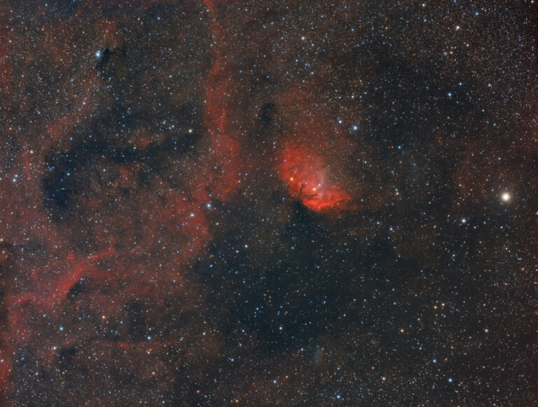 SH2- 101