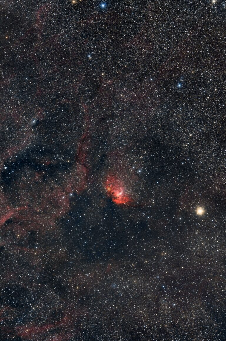 SH2- 101