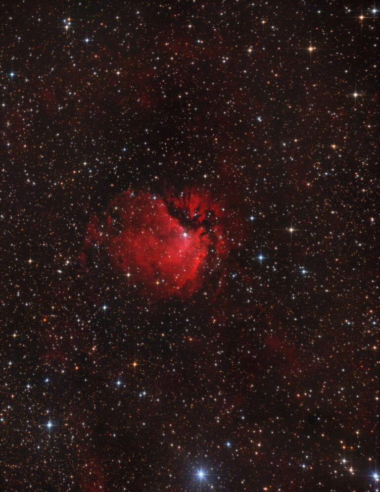 SH2- 112