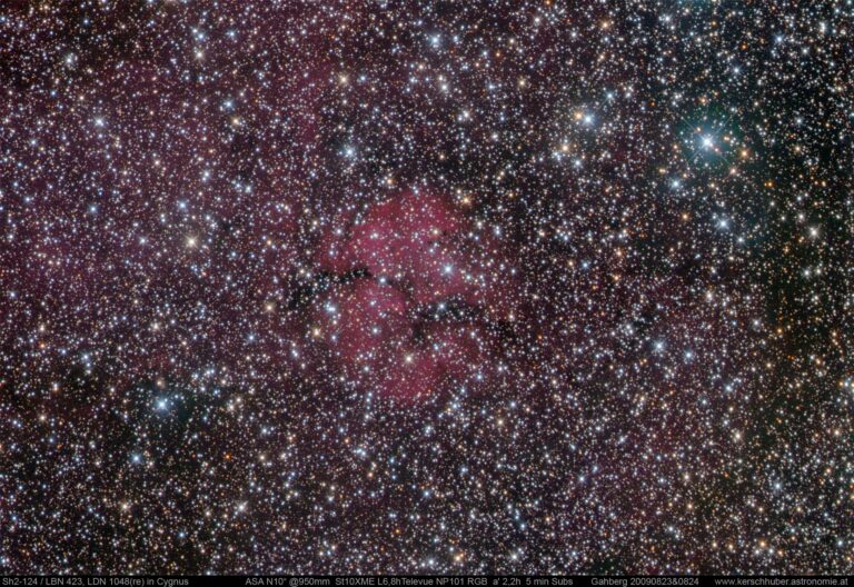 SH2- 124