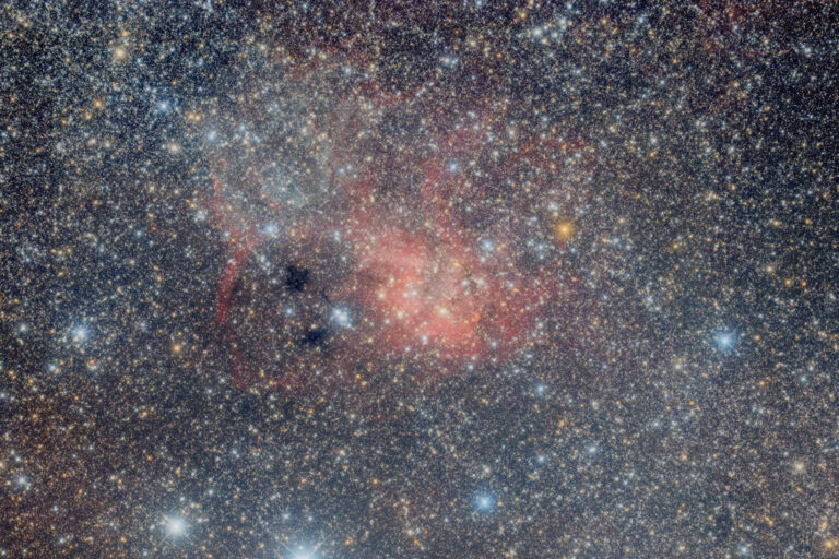 SH2- 132