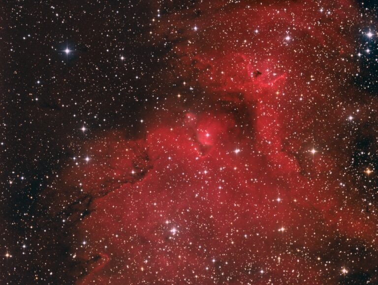 SH2- 199