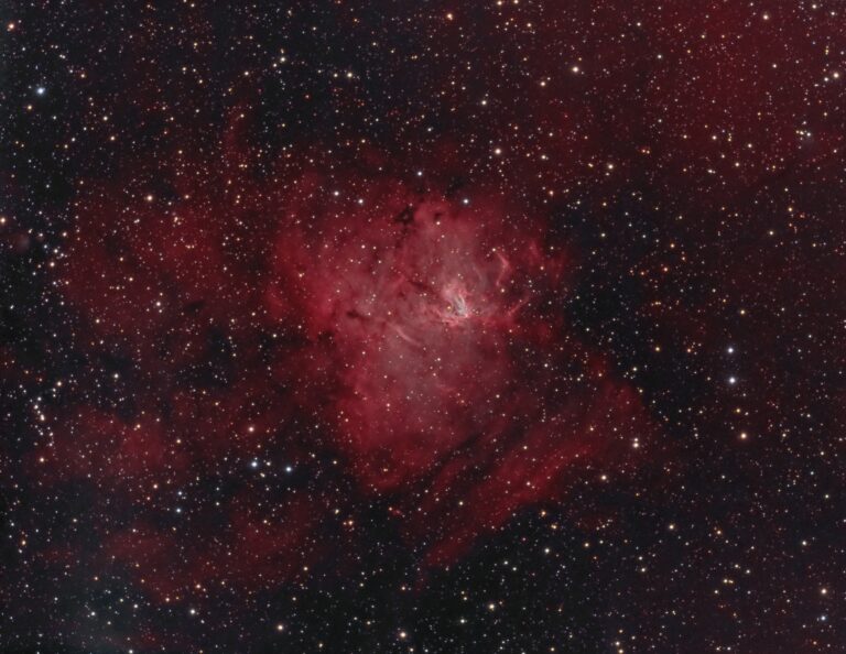 SH2- 206