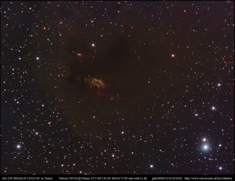 SH2- 239