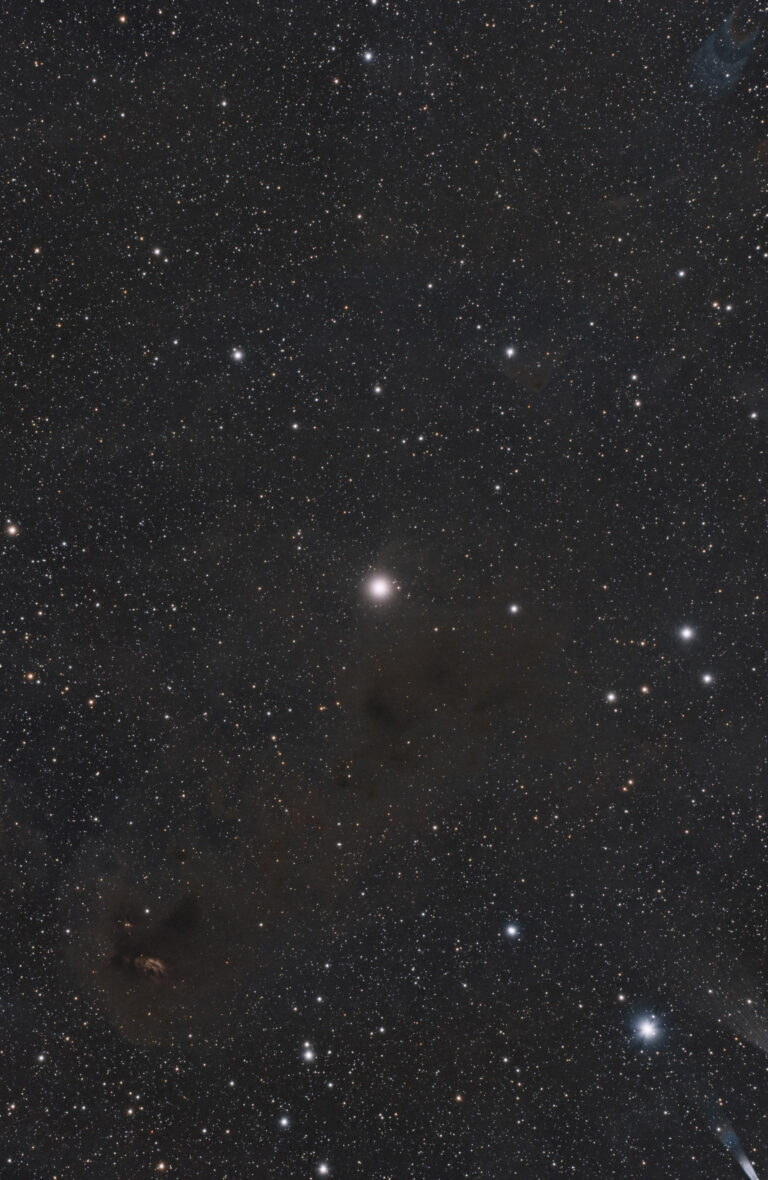 SH2- 239