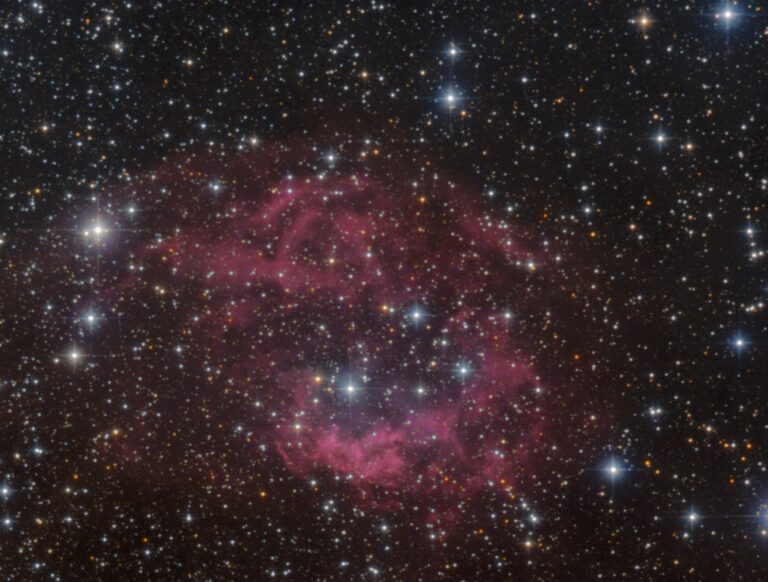SH2- 261
