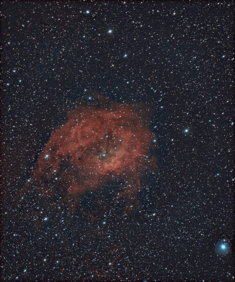 SH2- 261