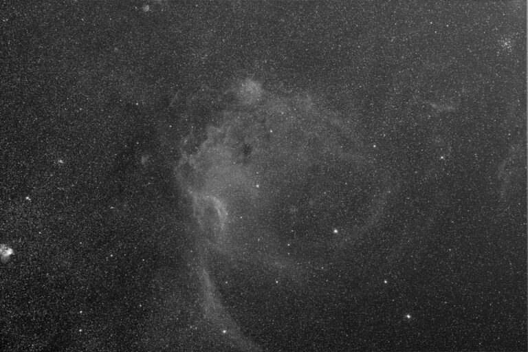 SH2- 310