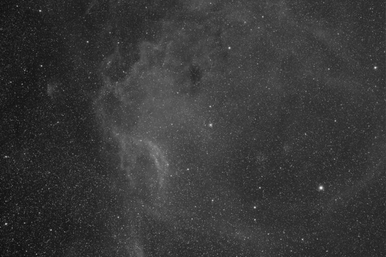 SH2- 310