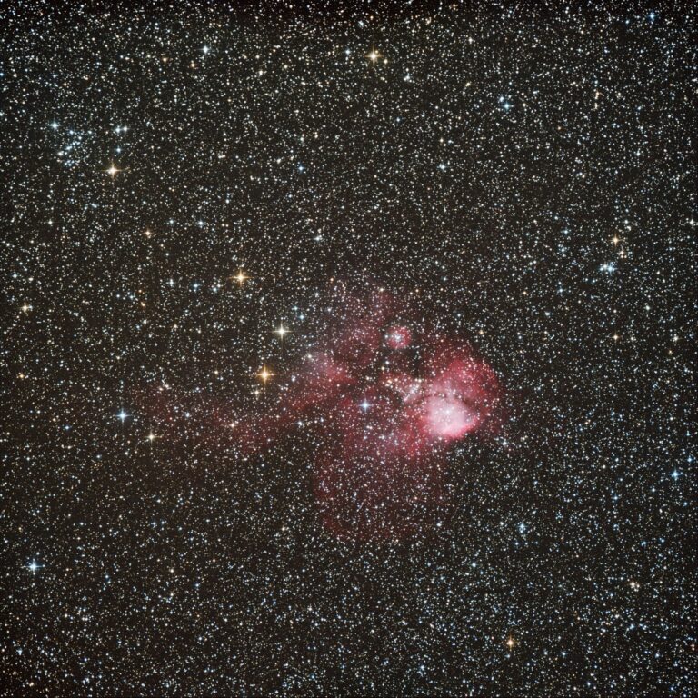 SH2- 311