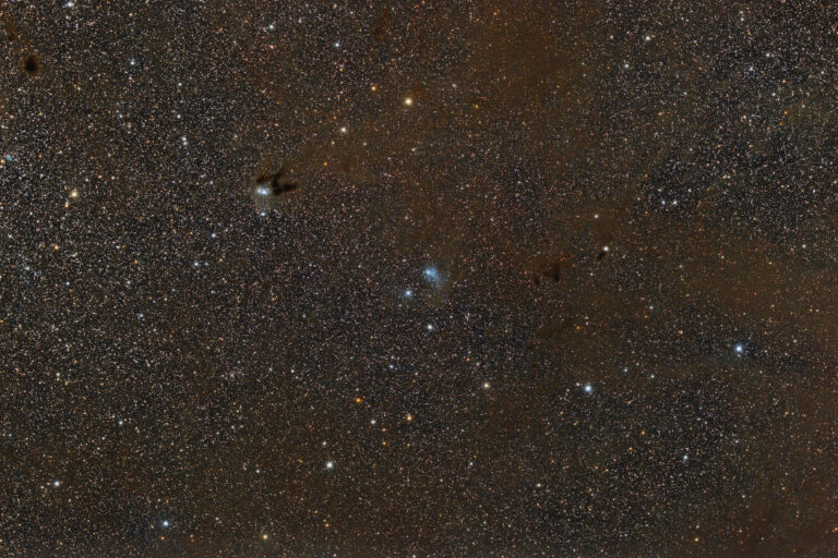 VDB 29