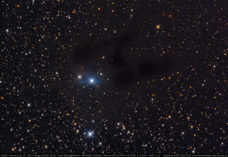 VDB 31