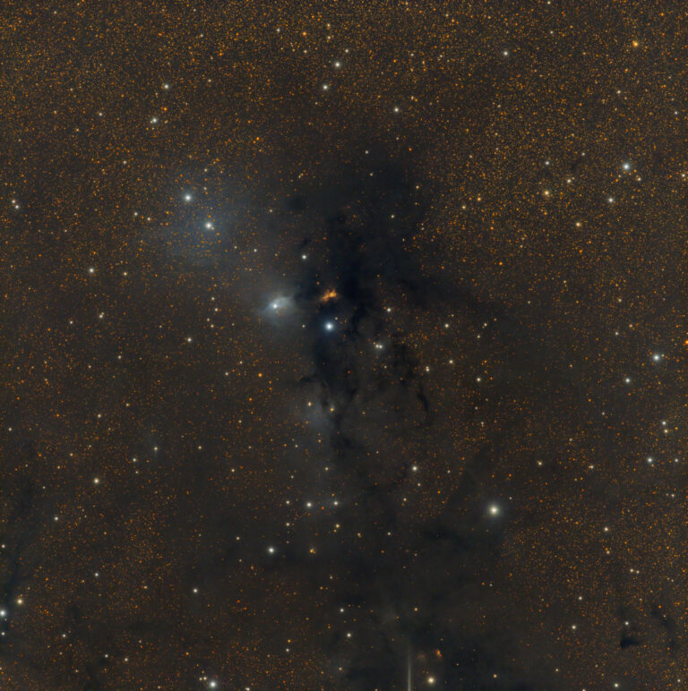 VDB 123