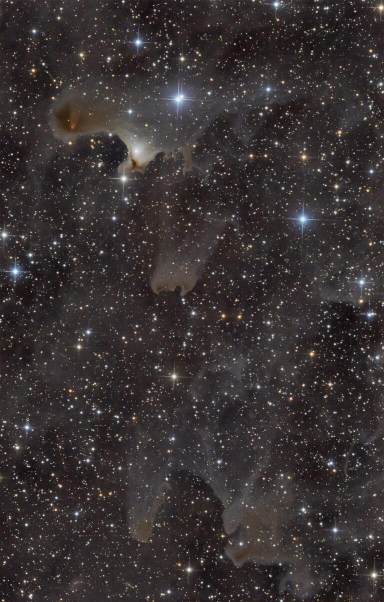 VDB 141