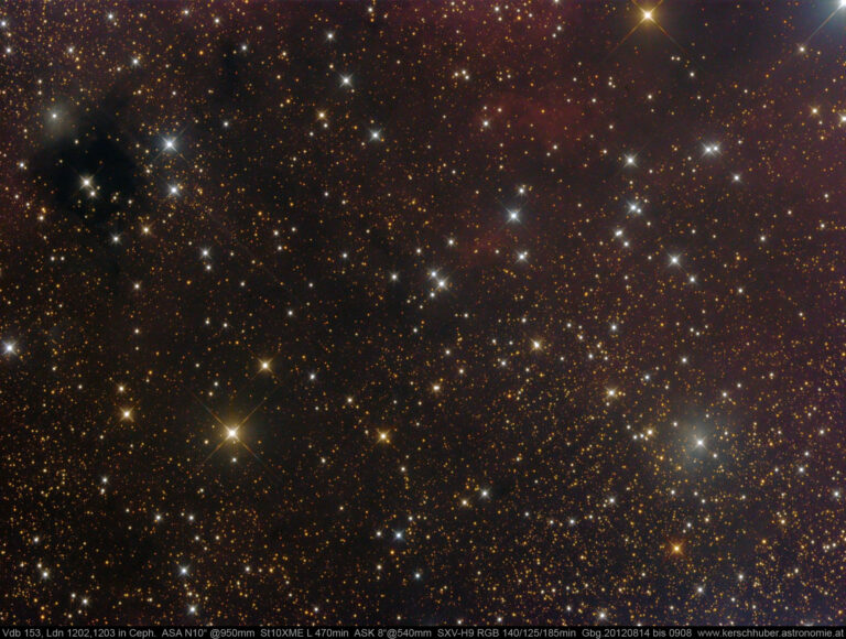 VDB 153