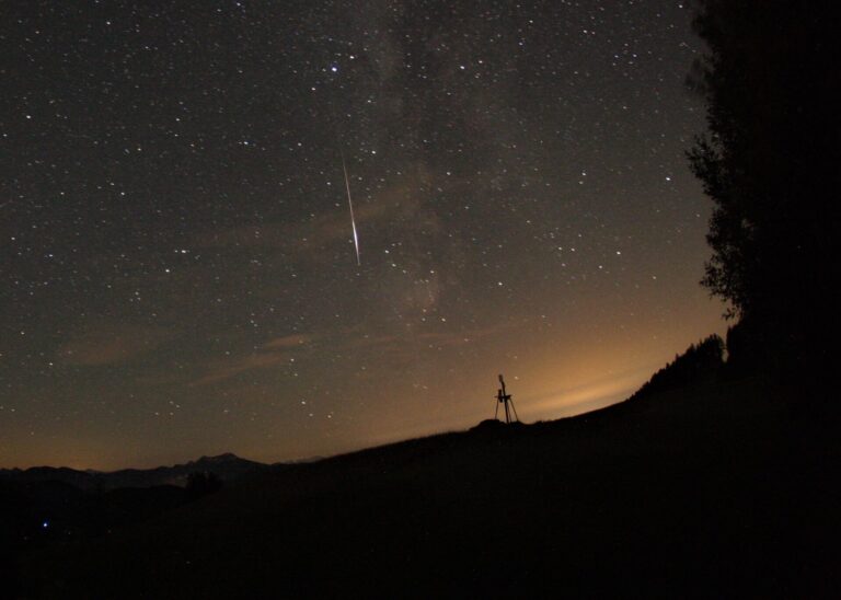 Perseid, Sternschnuppe