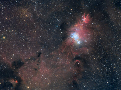 Read more about the article NGC2264